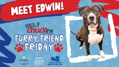 Furry Friend Friday: Edwin