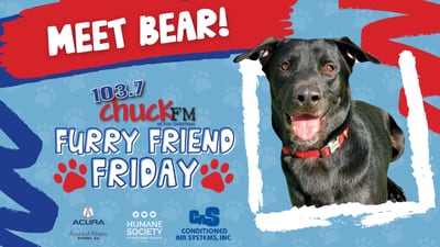 Furry Friend Friday: Bear