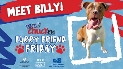 Furry Friend Friday: Billy