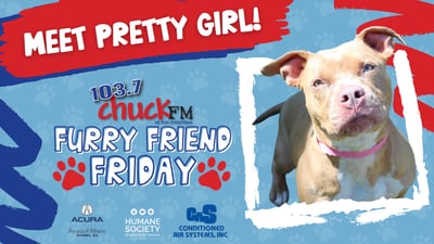 Furry Friend Friday: Pretty Girl