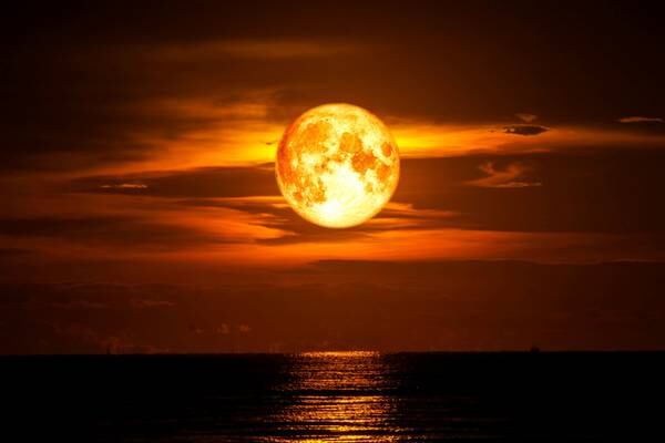 Harvest Moon to light up the sky this week; last super moon of the year